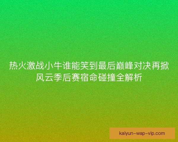 热火激战小牛谁能笑到最后巅峰对决再掀风云季后赛宿命碰撞全解析
